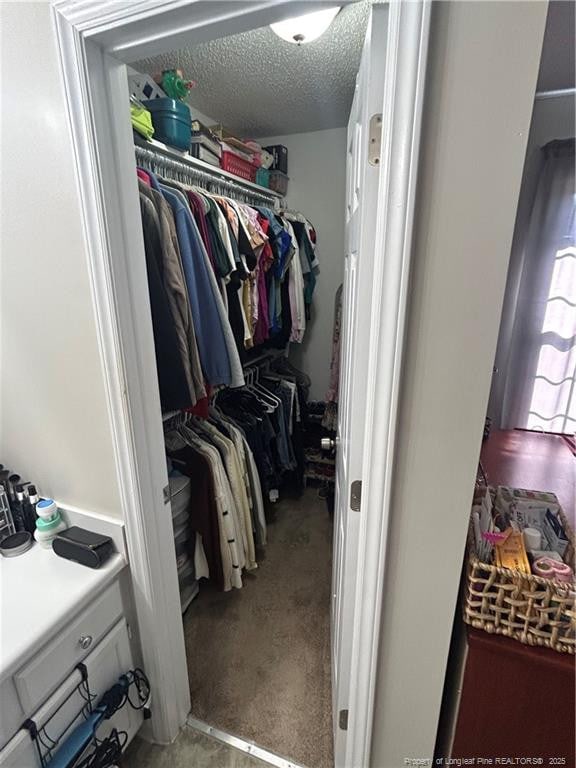 view of walk in closet