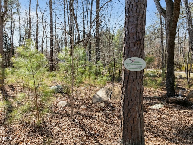 view of landscape