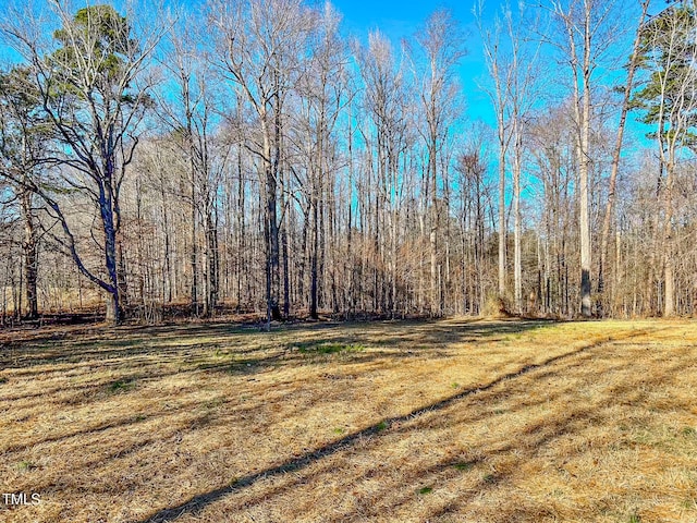 view of yard featuring a view of trees