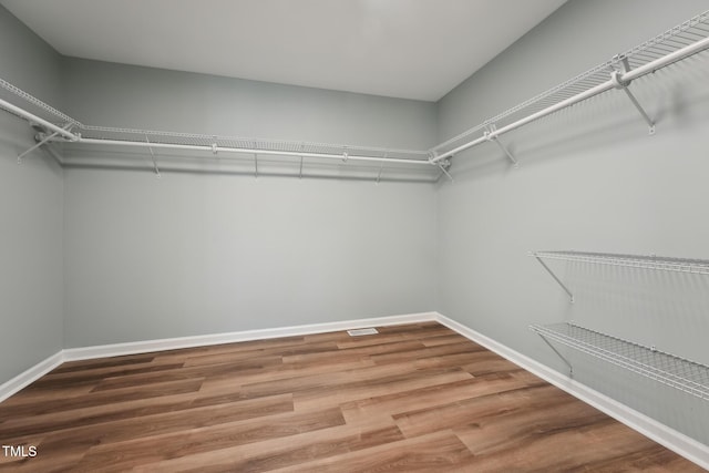 walk in closet featuring wood finished floors