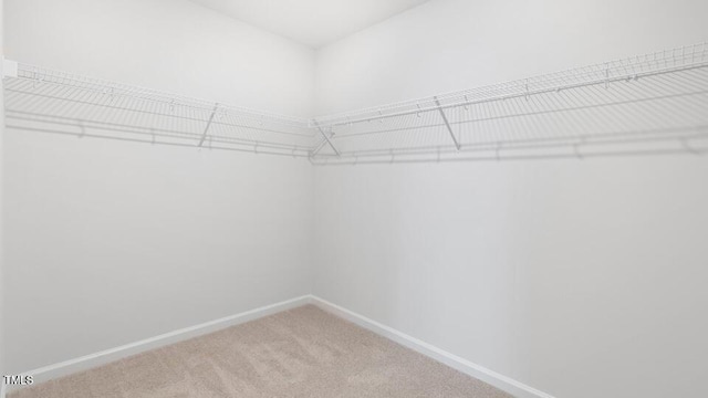 139 Ethel Ln, Angier, NC 27501 - spacious closet with carpet flooring