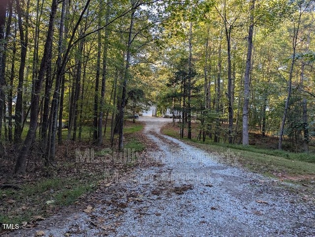 view of road with driveway and a forest view