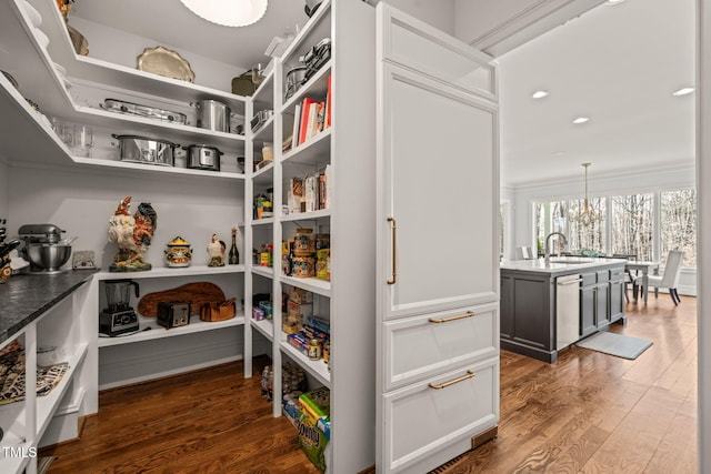 pantry with a sink