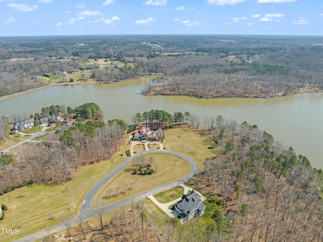 birds eye view of property with a forest view and a water view