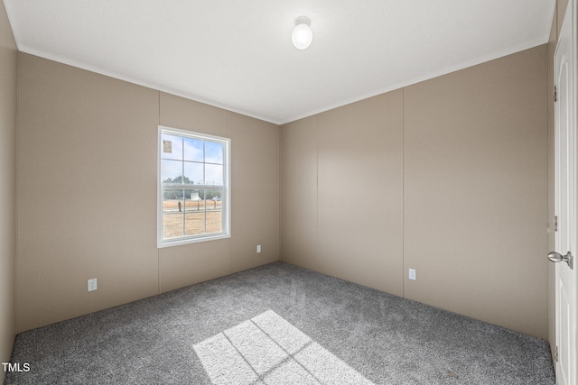 spare room with carpet floors