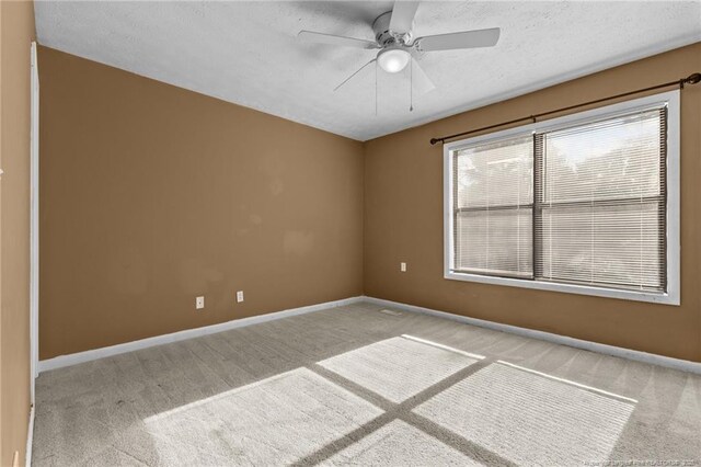 1167 Windham Ct, Fayetteville, NC 28303 - photo 16
