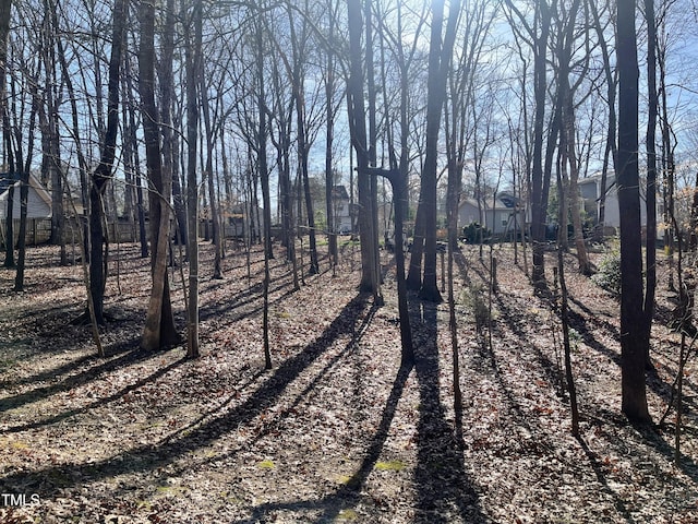 view of local wilderness