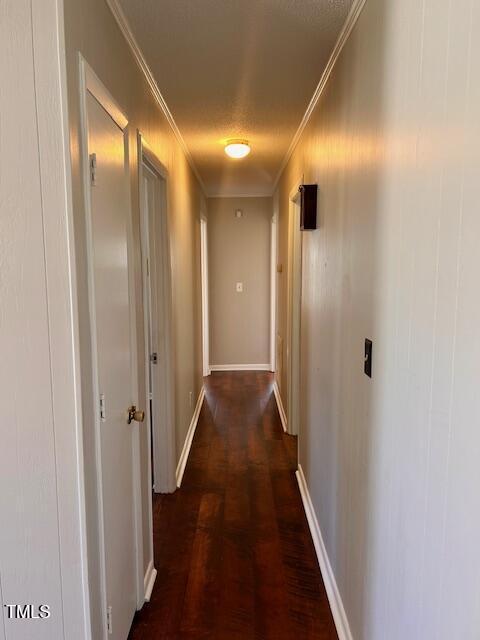 hallway with crown molding and dark hardwood / wood-style flooring