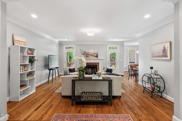 living room featuring plenty of natural light, a fireplace, and wood finished floors