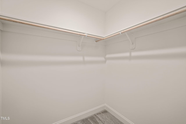 spacious closet featuring carpet