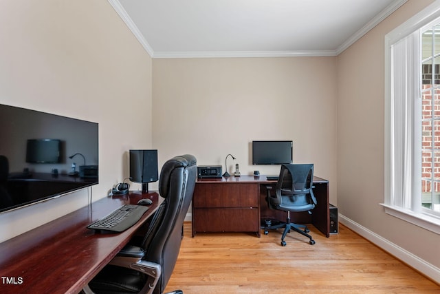 office space with light hardwood / wood-style flooring and crown molding