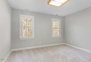 carpeted empty room with baseboards and a wealth of natural light