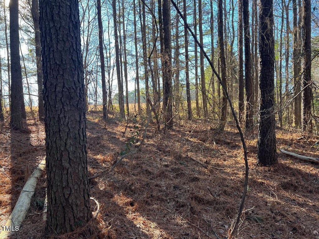 563 Little Creek Church Rd, Clayton, NC 27520 - photo 2