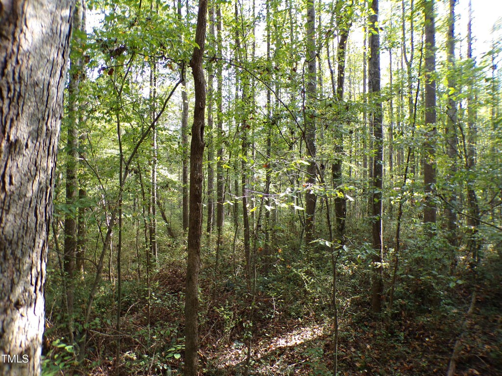 563 Little Creek Church Rd, Clayton, NC 27520 - photo 3