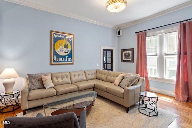 216 N Bloodworth St, Raleigh, NC 27601 - living room with crown molding, baseboards, a healthy amount of sunlight, and light wood-style floors