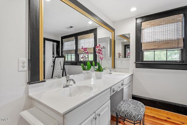 216 N Bloodworth St, Raleigh, NC 27601 - bathroom with a sink, a wealth of natural light, double vanity, and visible vents
