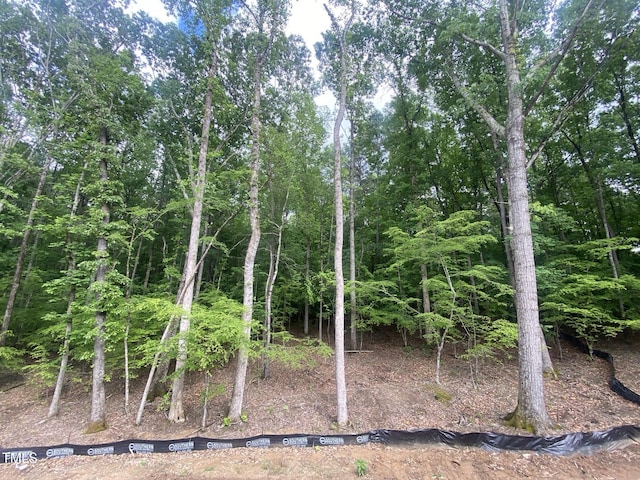 view of local wilderness