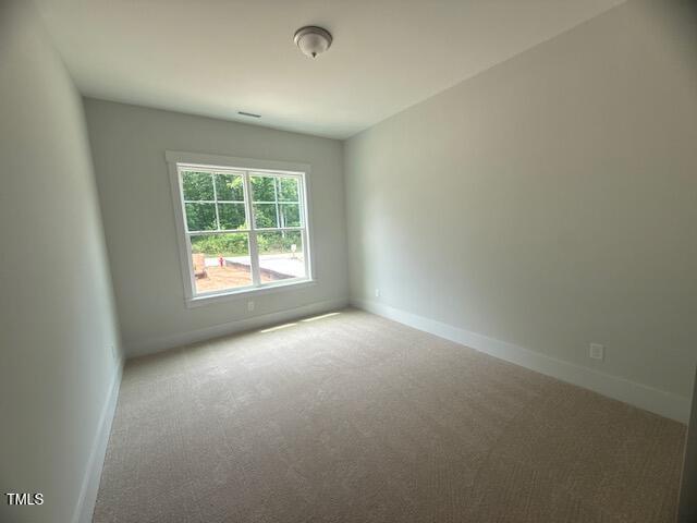 60 Valebrook Ct, Youngsville, NC 27596 - photo 24