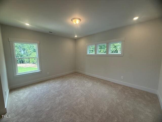 60 Valebrook Ct, Youngsville, NC 27596 - photo 27