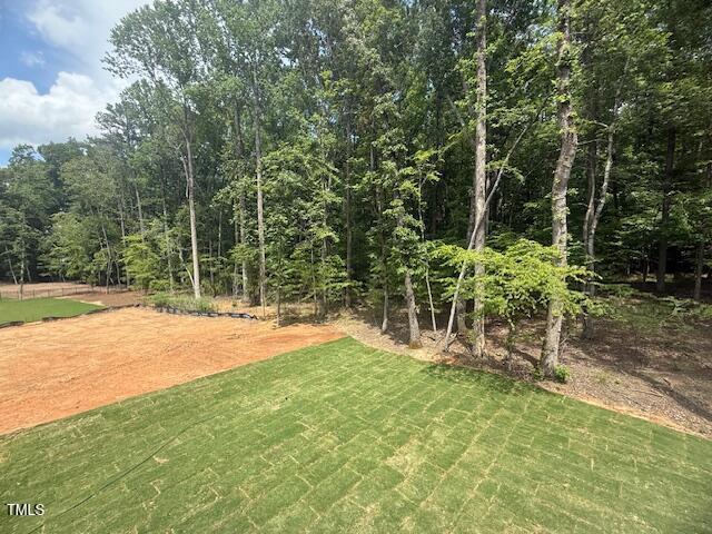 60 Valebrook Ct, Youngsville, NC 27596 - photo 34