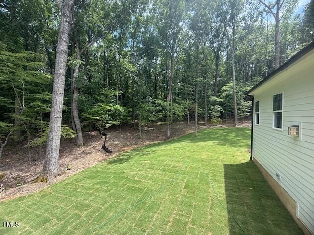60 Valebrook Ct, Youngsville, NC 27596 - photo 33