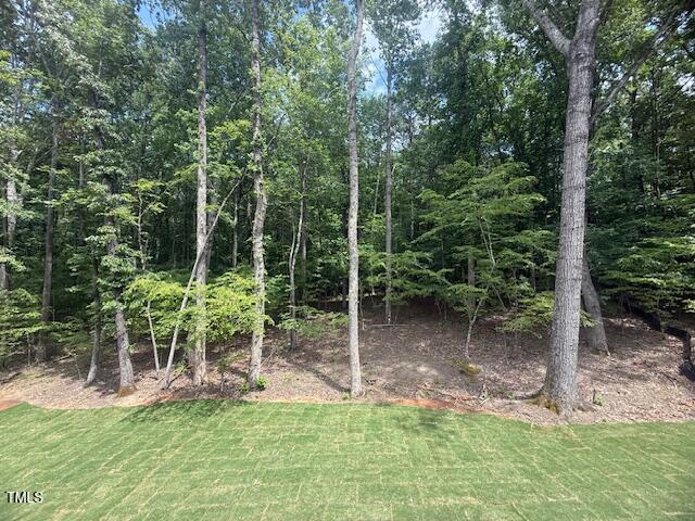 60 Valebrook Ct, Youngsville, NC 27596 - photo 32