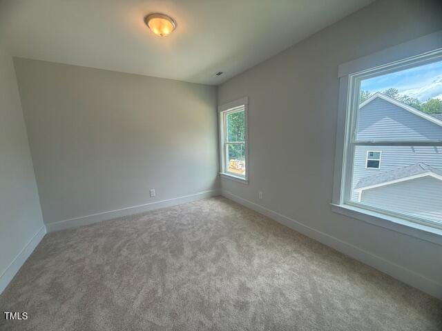 60 Valebrook Ct, Youngsville, NC 27596 - photo 29