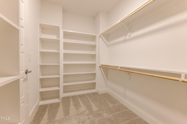3521 Amelia Grace Dr Lot 67, Fuquay Varina, NC 27526 - spacious closet featuring carpet floors