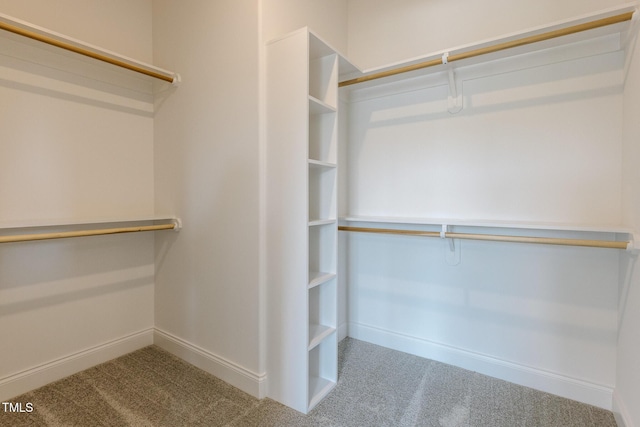 3521 Amelia Grace Dr Lot 67, Fuquay Varina, NC 27526 - spacious closet featuring carpet
