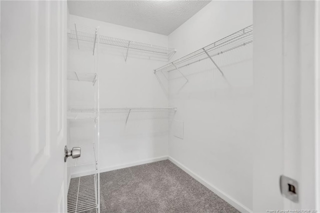 126 Ribbon Oak Ct, Sanford, NC 27332 - photo 29