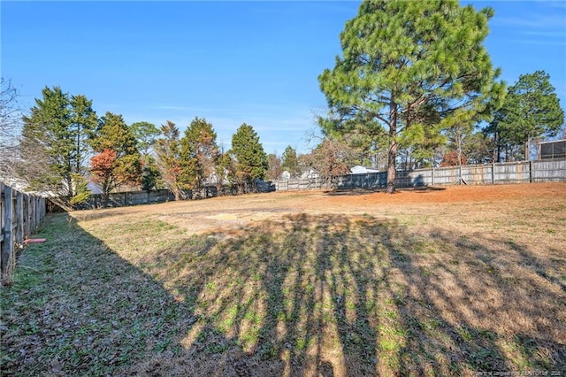 126 Ribbon Oak Ct, Sanford, NC 27332 - photo 43