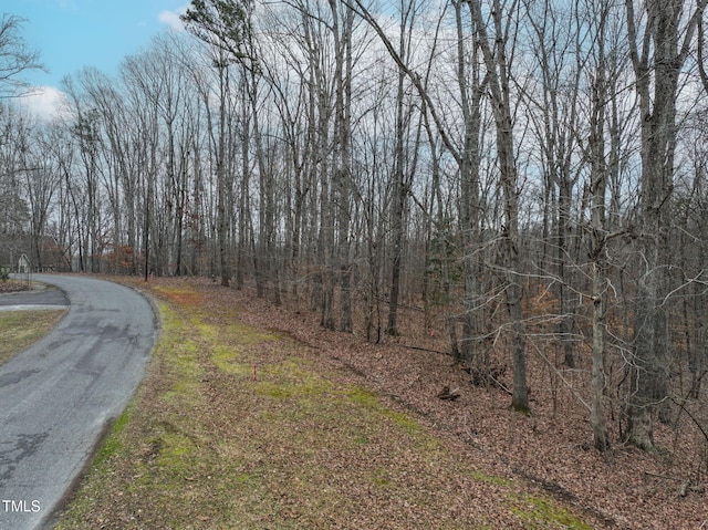 Listing photo 3 for 2 Lake Point Dr, Clarksville VA 23927