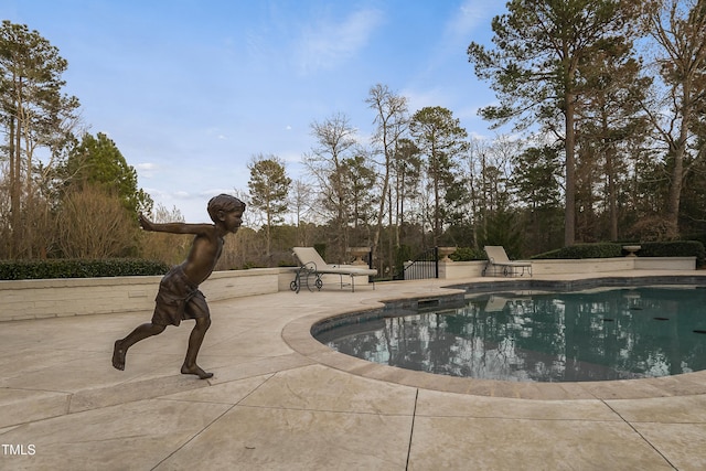 pool featuring a patio area