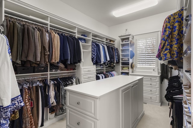 spacious closet with light carpet