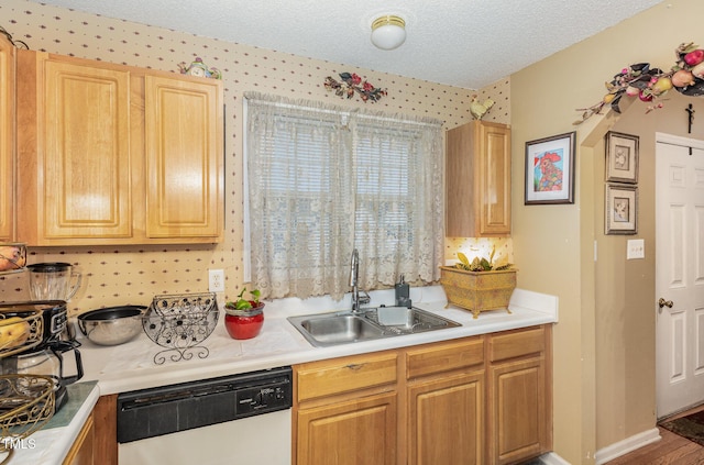 kitchen featuring a textured ceiling, light countertops, white dishwasher, and a sink