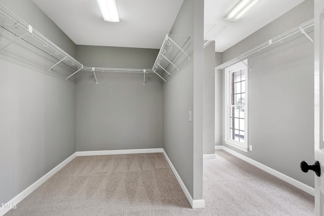 spacious closet with carpet floors