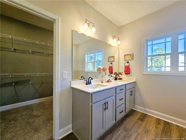 bathroom with vanity and wood-type flooring