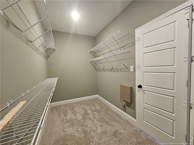 walk in closet with carpet