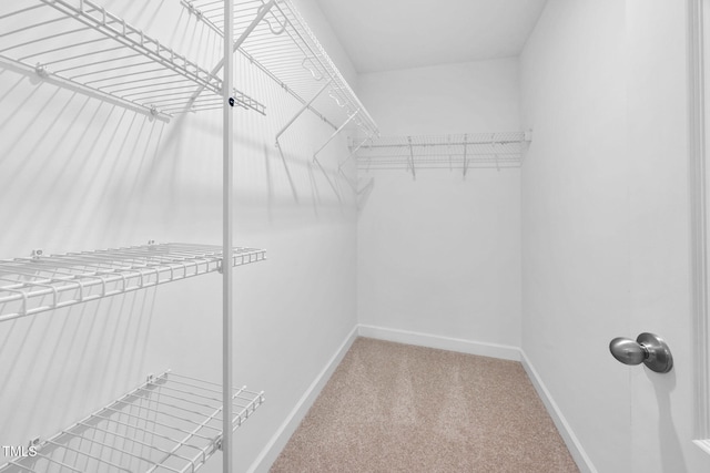 spacious closet with carpet floors