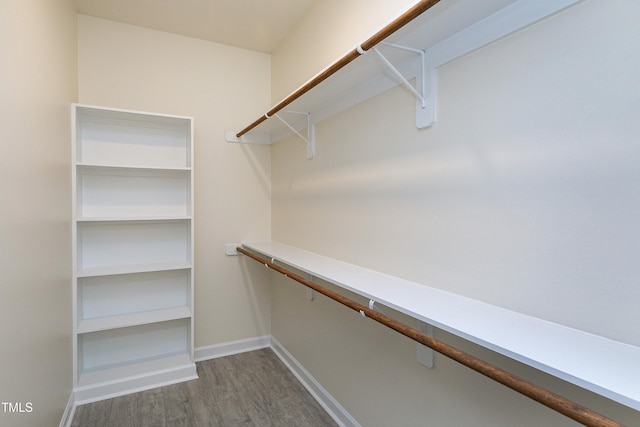 spacious closet featuring dark wood-type flooring