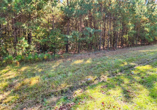 TRACT1A Abattoir Rd, Coats NC, 27521 land for sale