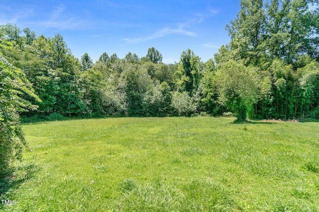 811 Queens St NW, Lenoir, NC 28645 - view of yard featuring a forest view