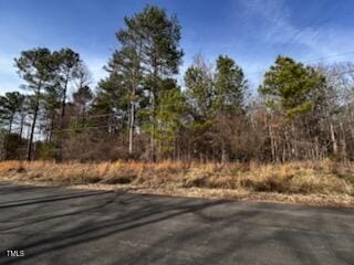 1617 Torredge Rd, Durham NC, 27712 land for sale