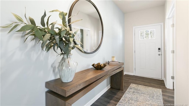 doorway with dark hardwood / wood-style floors