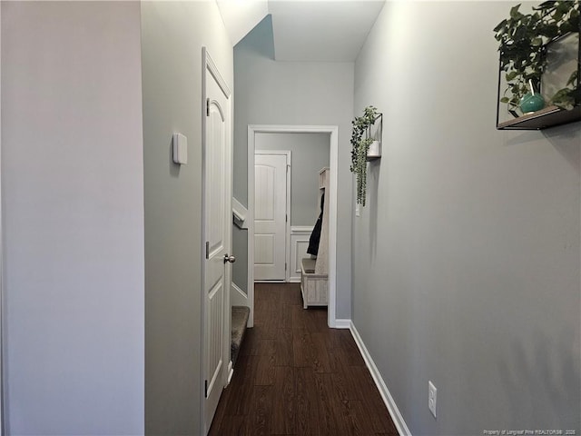 hall featuring dark wood-type flooring