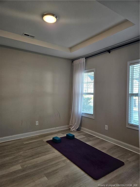 workout area featuring a raised ceiling, wood-type flooring, and a healthy amount of sunlight