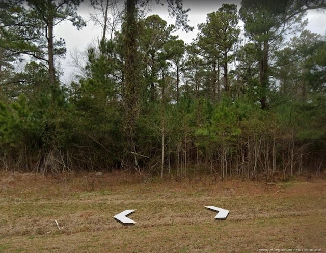 620 4h Rd, Beaufort NC, 28516 land for sale