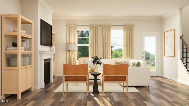 living area featuring dark hardwood / wood-style flooring and ornamental molding