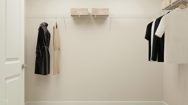 view of spacious closet