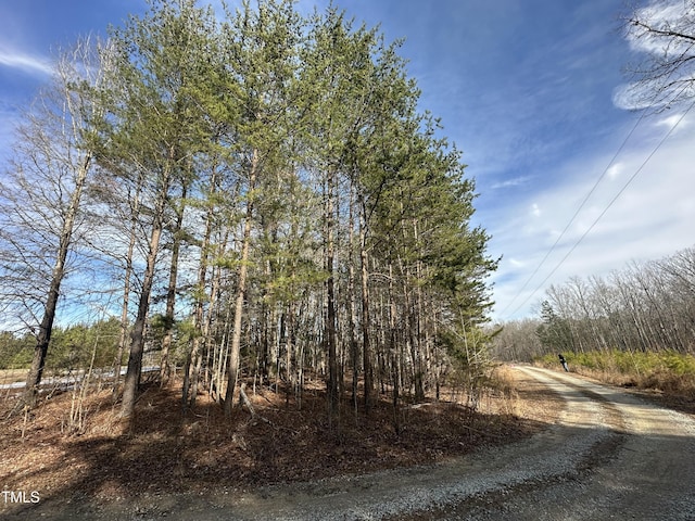 Listing photo 3 for 2A Cousin Rd, Rougemont NC 27572